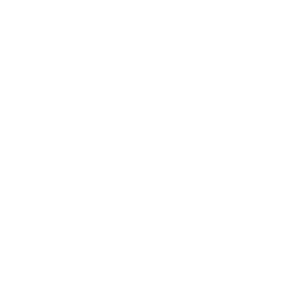 VOYEL BLC
