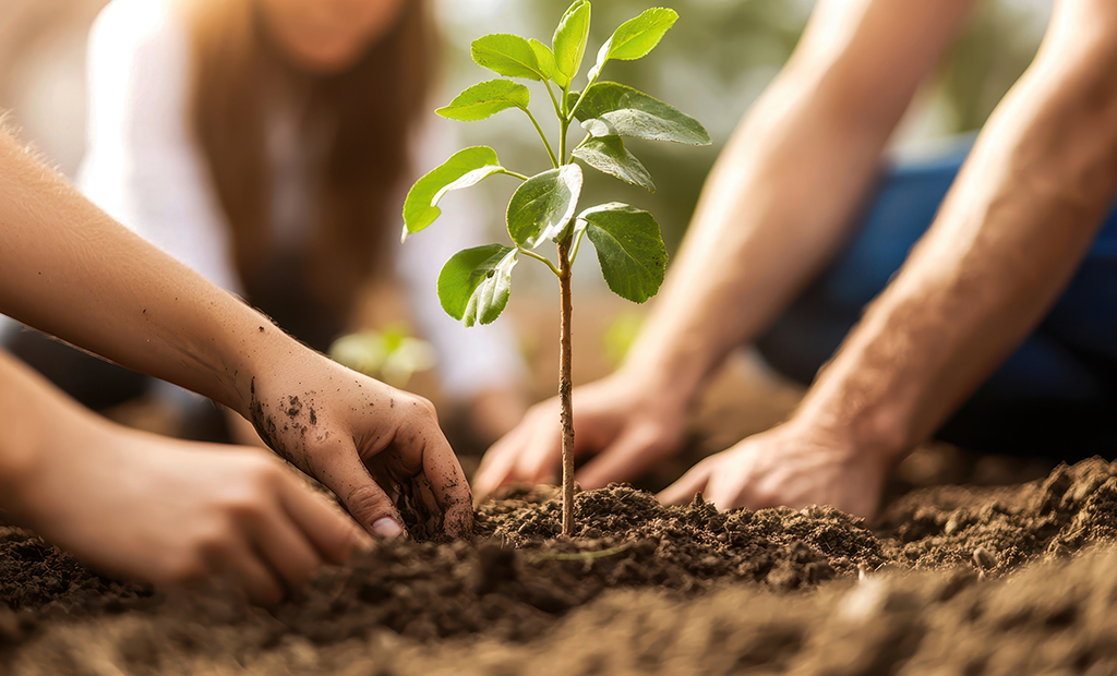 millet-environnement