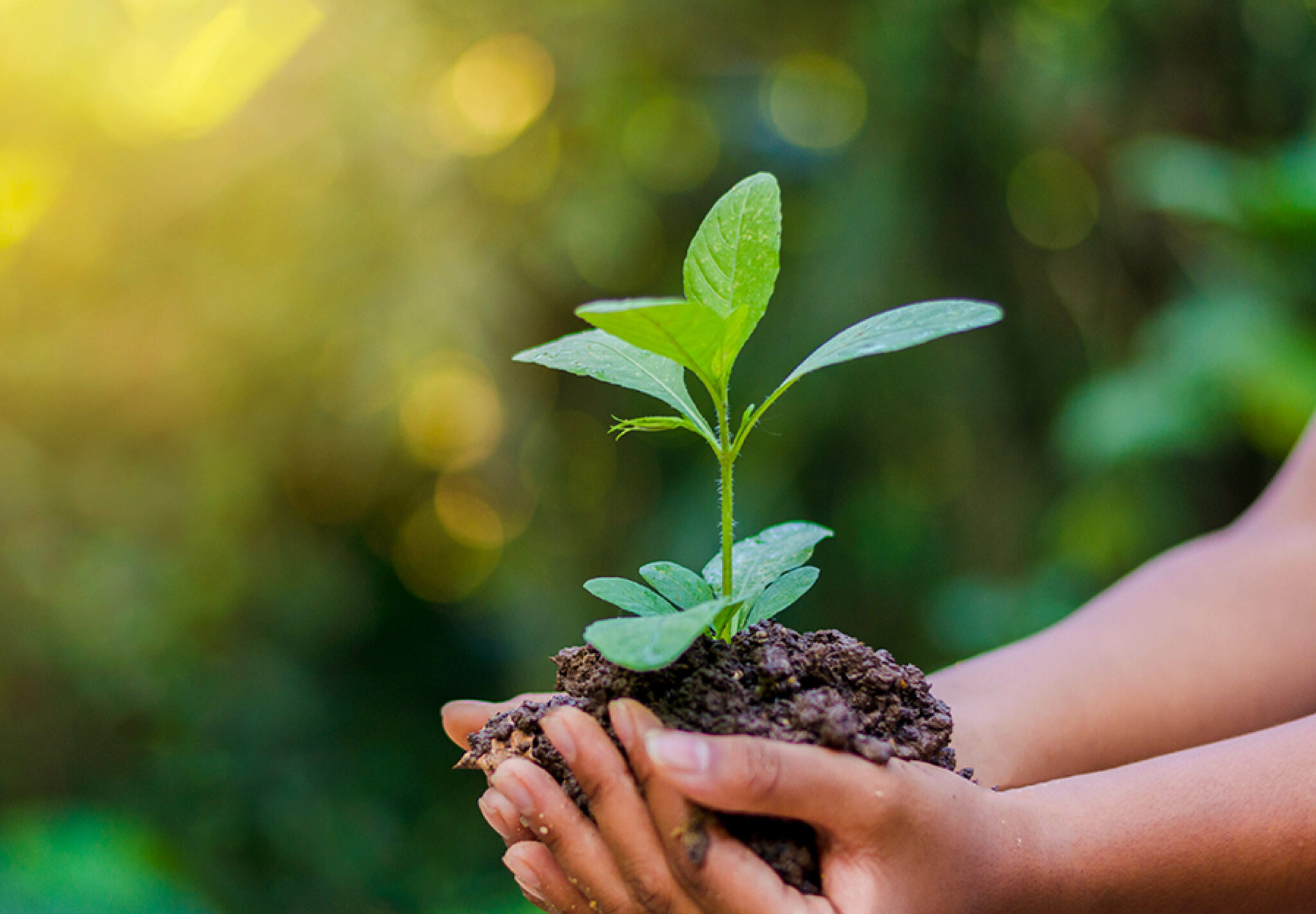 respect-environnement-photo